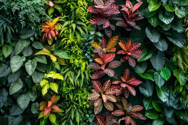 Come creare un giardino verticale per massimizzare lo spazio esterno?