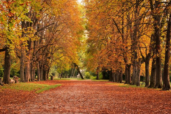 Quali sono i migliori parchi di divertimenti da visitare per una giornata ricca di emozioni?