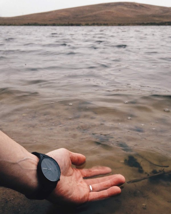 Quali sono le migliori pratiche per viaggiare con un gatto?